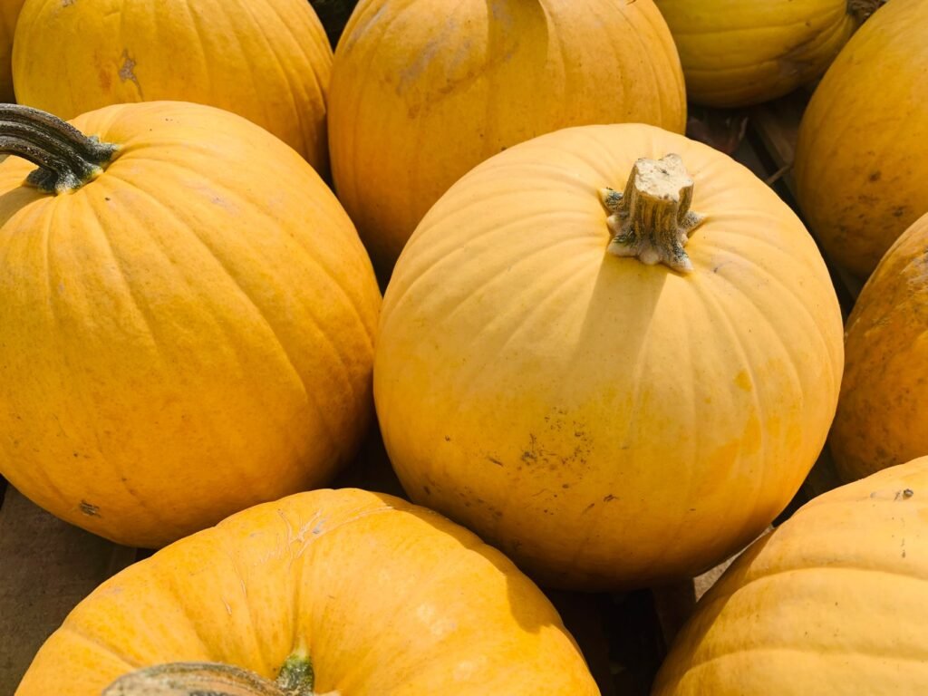 Bright yellow pumpkins piled together, signifying autumn harvest season.