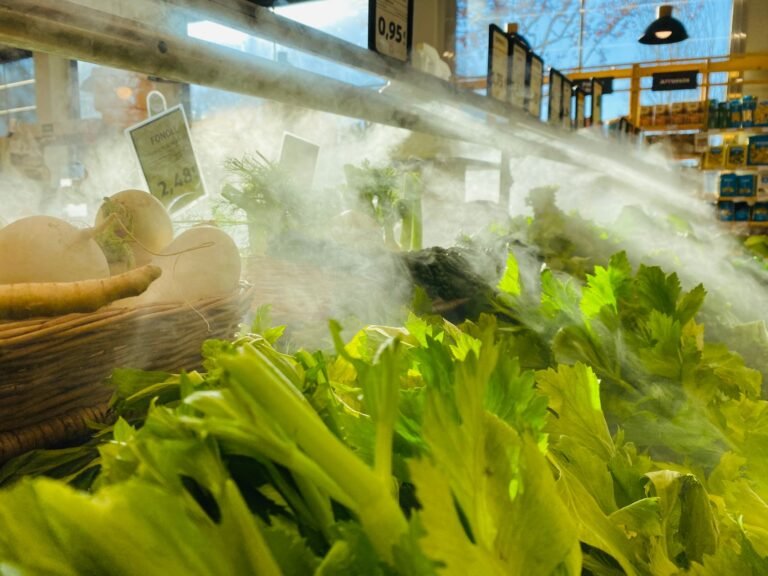Close-up of fresh vegetables under mist in a supermarket, highlighting freshness and quality.