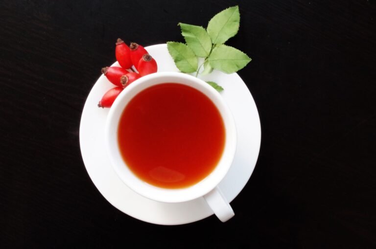 A cup of herbal tea with fresh rosehips and leaves on a saucer, captured from above.