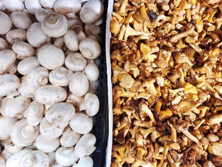 A contrast of fresh white and chanterelle mushrooms displayed at a market.