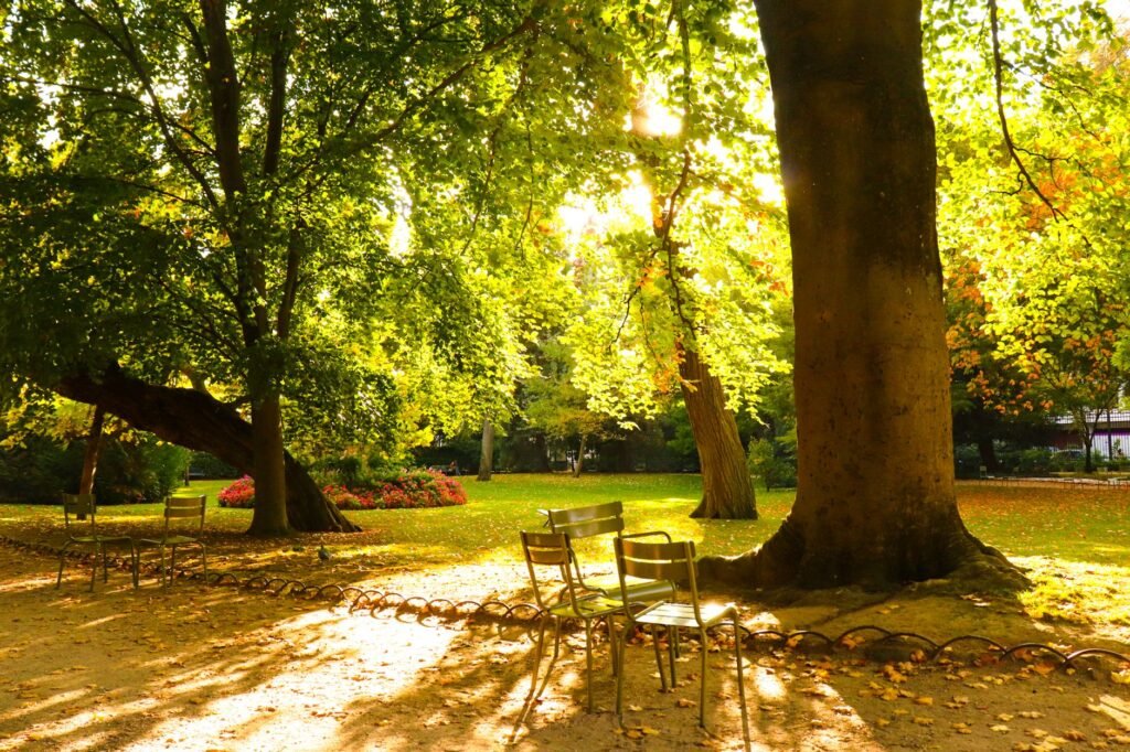 Beautiful park with sunlight streaming through trees onto empty chairs.