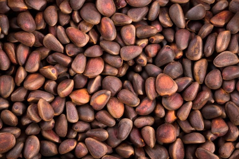 High-resolution image of raw pine nuts, ideal for culinary and health-related projects.