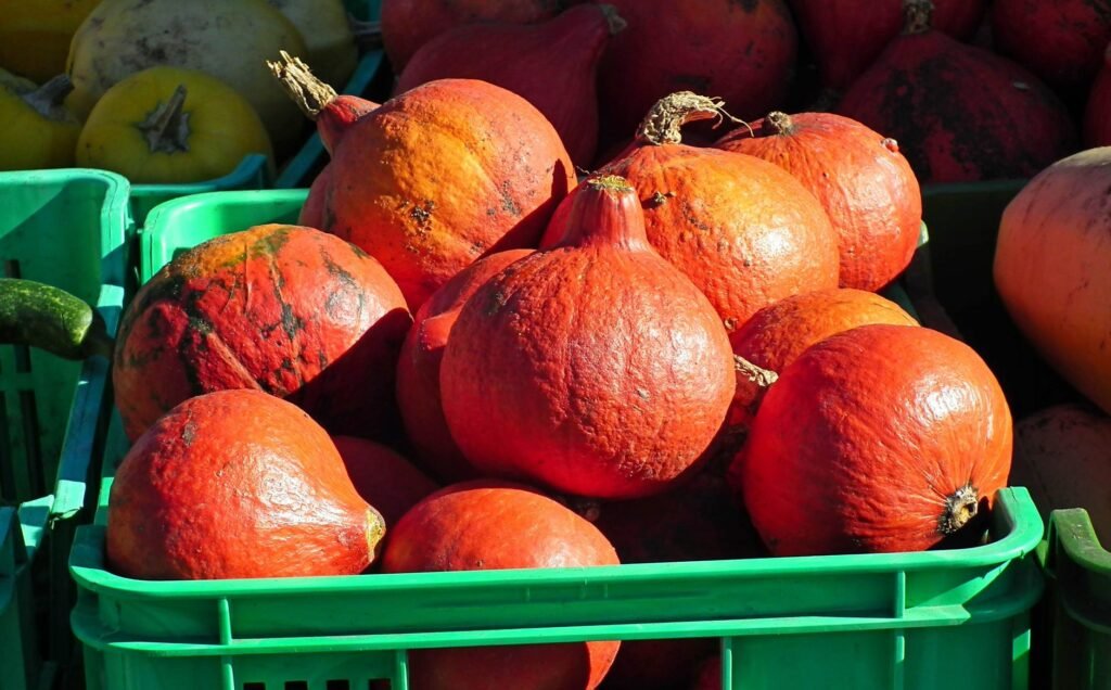 Vibrant red pumpkins in green crates at an outdoor market, showcasing autumn harvest.