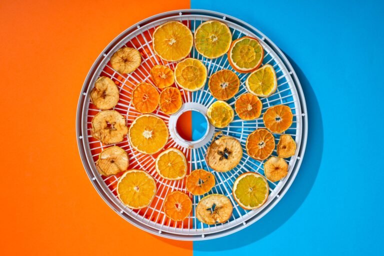 A colorful composition of dried citrus and apple slices on a vivid orange and blue background.