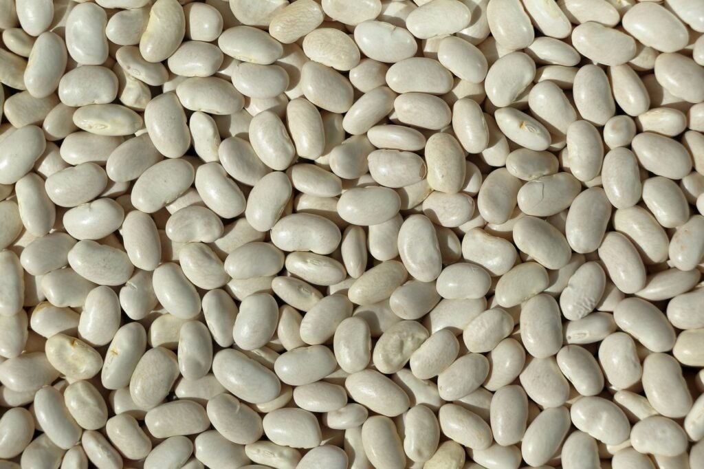 High-resolution image of white beans, ideal for culinary and agricultural themes.