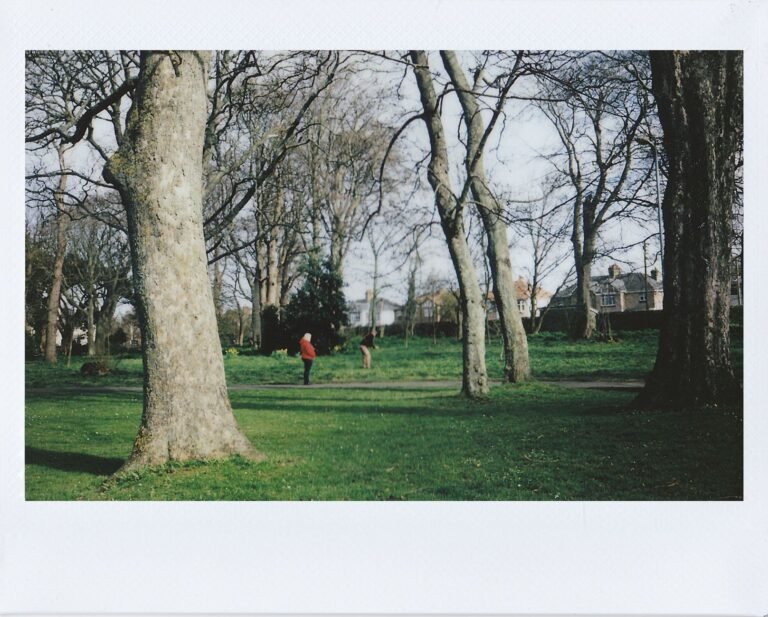 A peaceful park scene with bare trees and a person walking on grass.