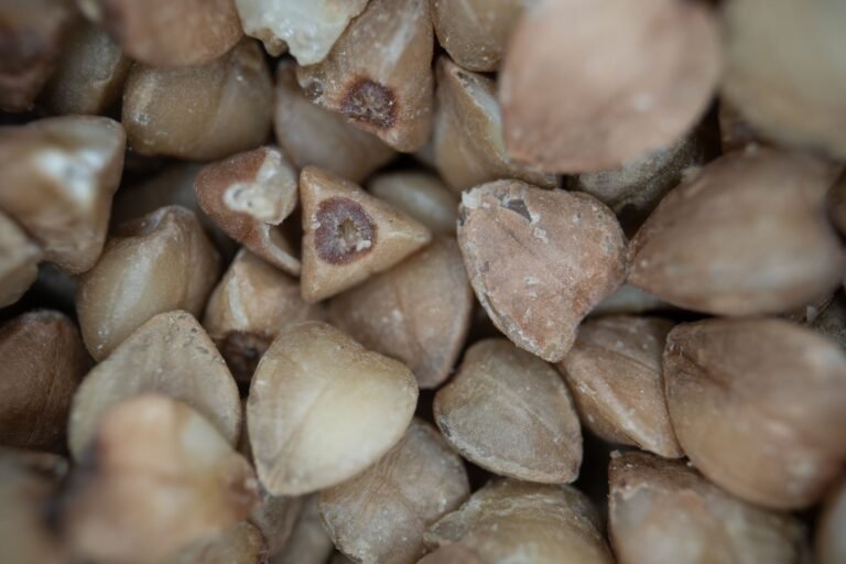 Close-up macro image of raw buckwheat seeds showcasing texture and detail.
