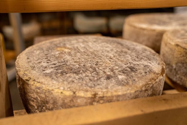 Close-up of aged cheese wheels stored in a rustic, natural environment, displaying rich textures.