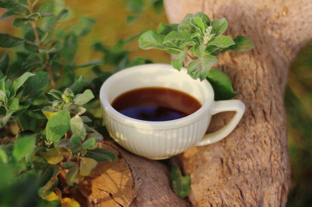 A white cup of tea nestled among green leaves in a natural setting, evoking tranquility.