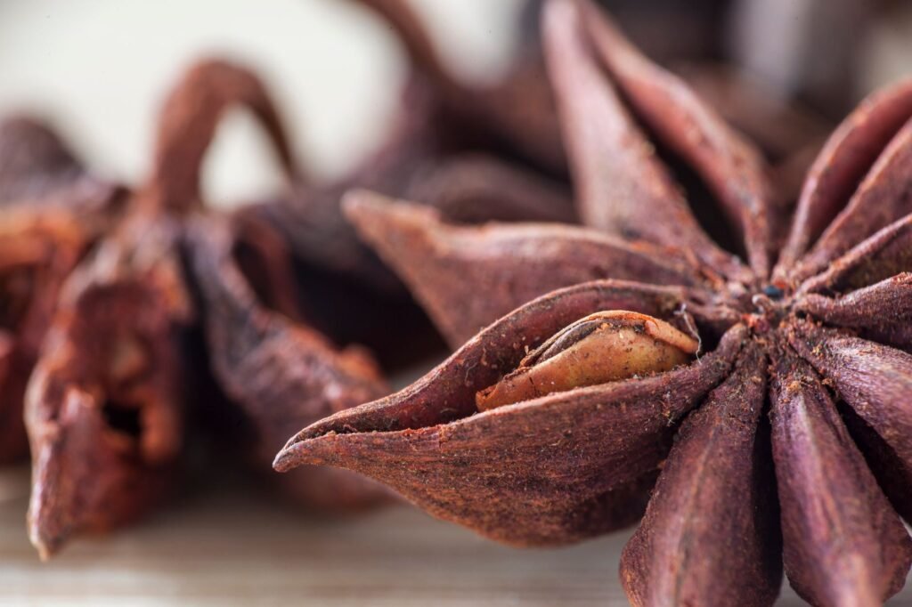 Detailed macro shot of star anise spice with a textured surface, captured in Dhaka.