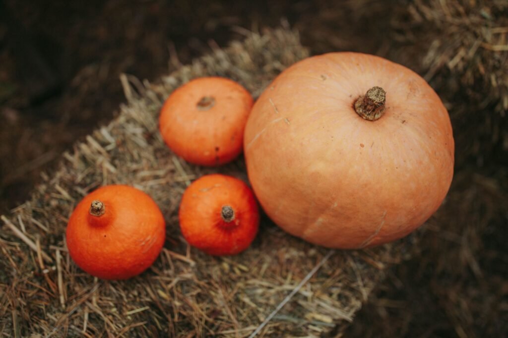 Close-up of pumpkins and squash resting on hay, evoking a warm, rustic fall vibe.